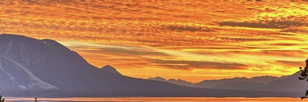 DANIMALGBC Profile Banner