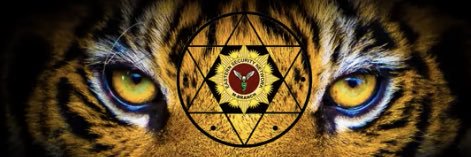 Billionaire CAPTAIN 𝕏 banner