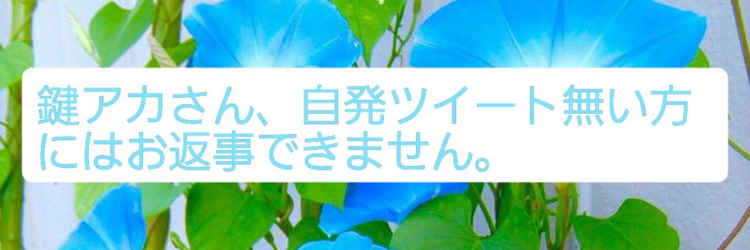 riko33ss's profile banner image