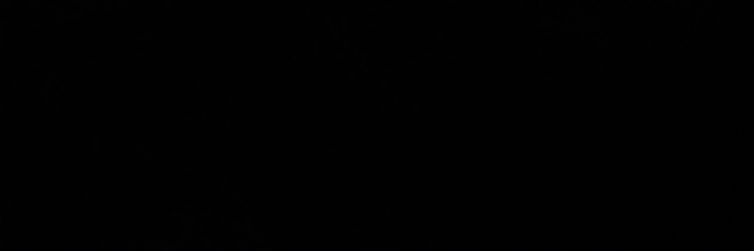 ᥫ᭡ rae banner
