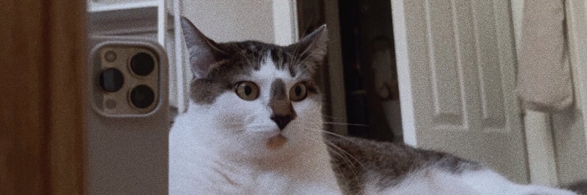 ashhouser_'s profile banner image