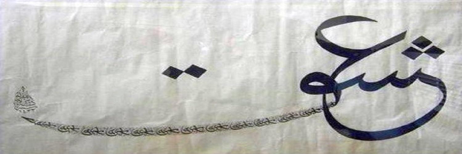 ursiso's profile banner image