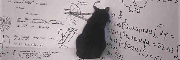 immortalcoder_ Profile Banner