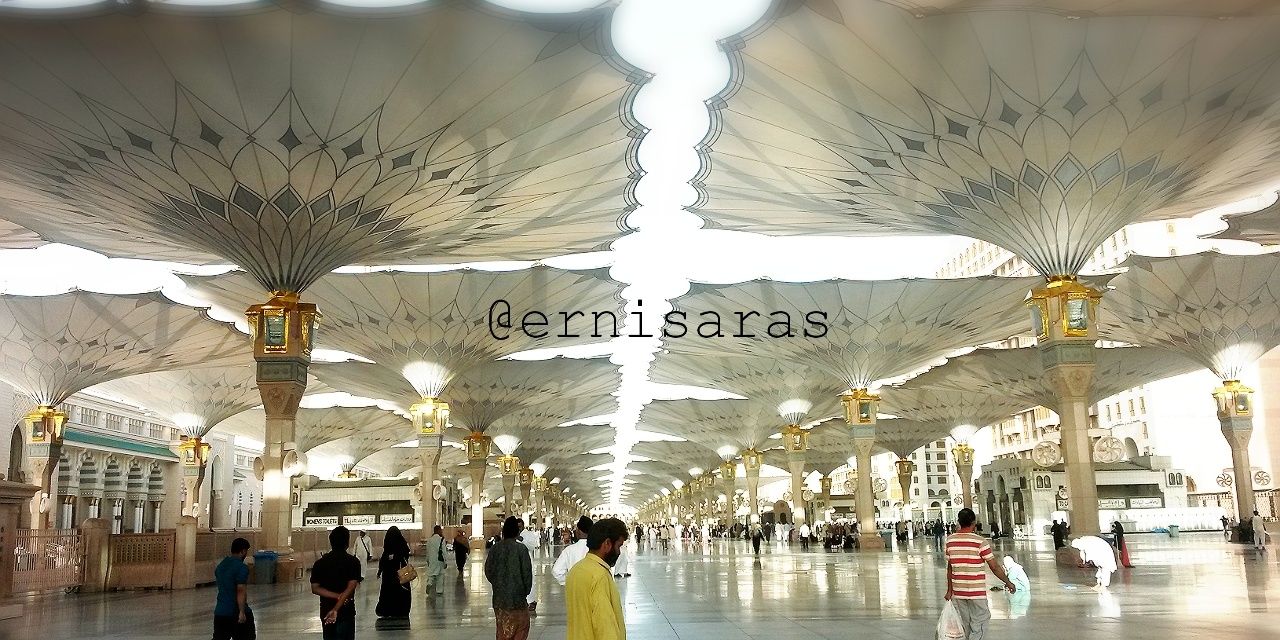 erni saras banner