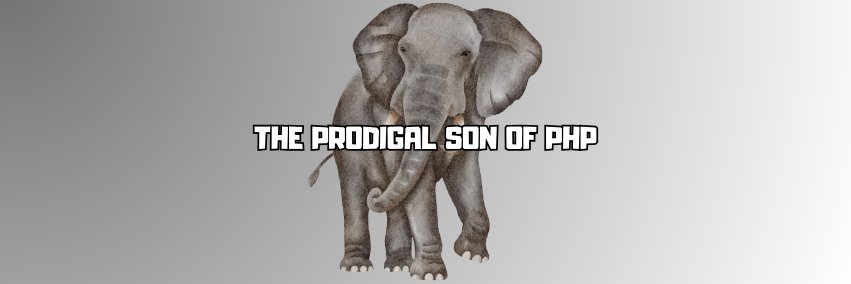 Ronin dev's banner