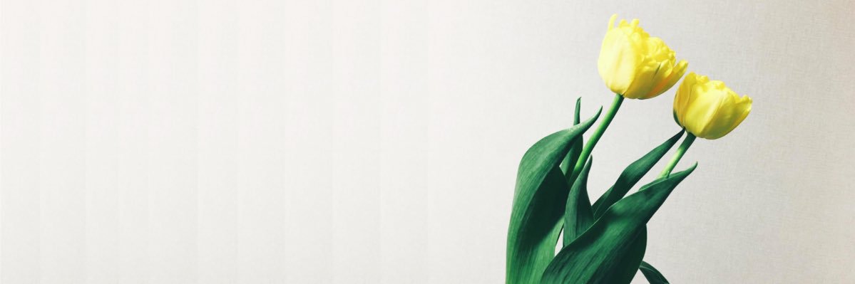 mofut0n's profile banner image