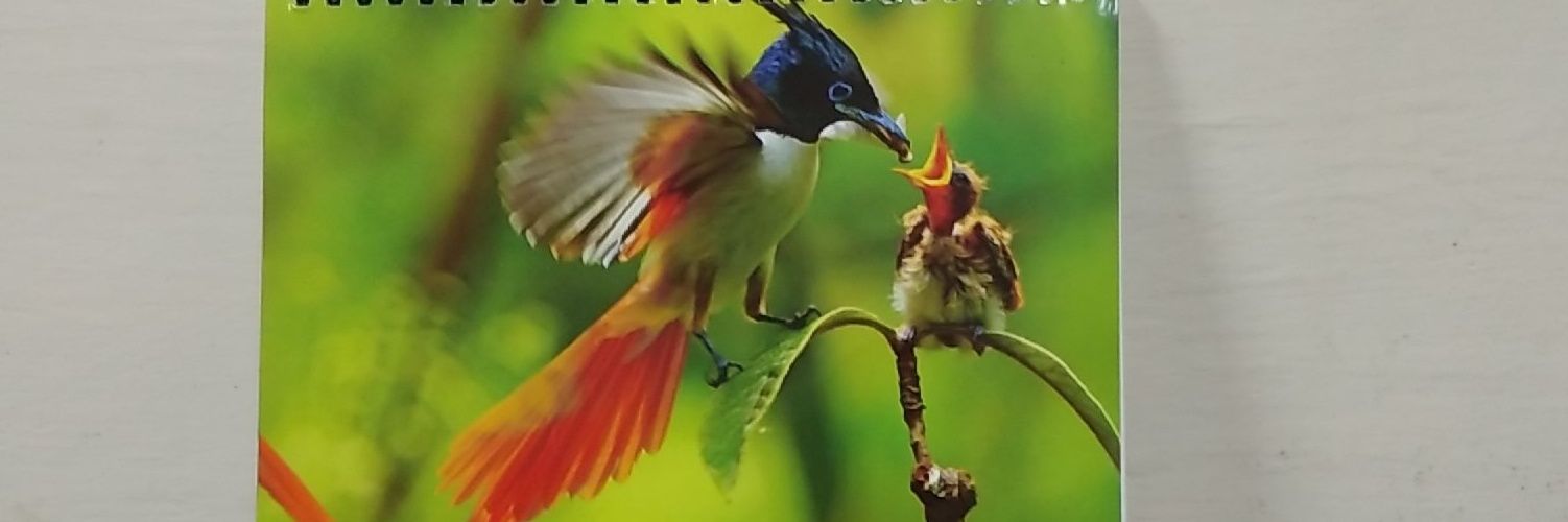 ChavanGuddu's profile banner image
