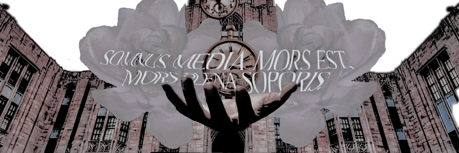 ︎ ︎ ︎ ︎︎ ︎ ︎𝐃𝐎𝐌𝐈𝐍͟𝐈𝐂. banner