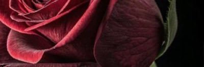 36_findom's profile banner image