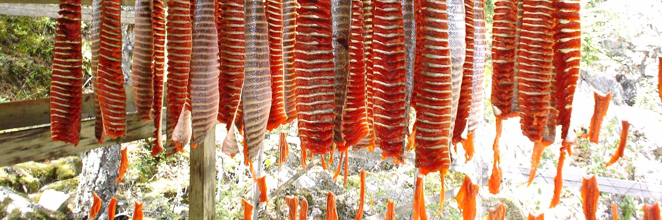 FN Fisheries Council banner