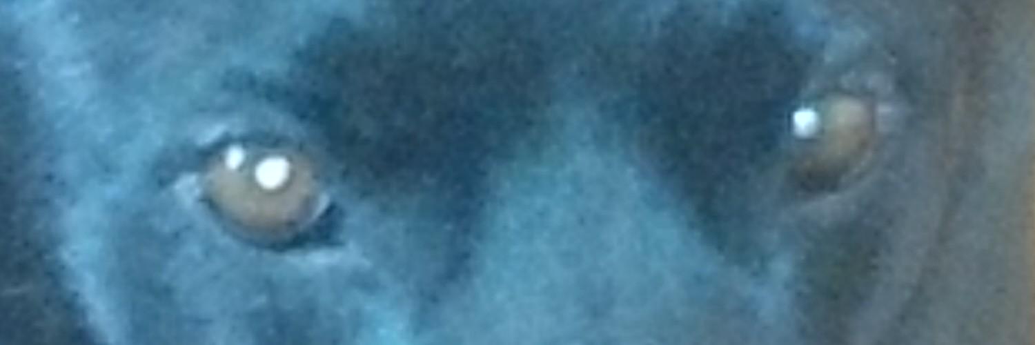 agbinfo's profile banner image
