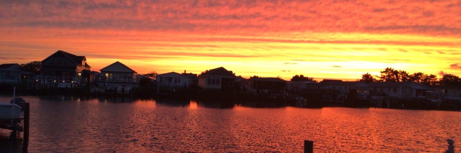barry_hyman's profile banner image