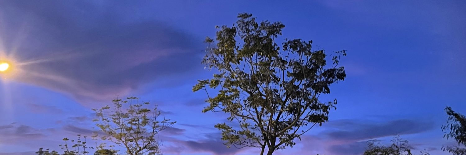 p39rb's profile banner image