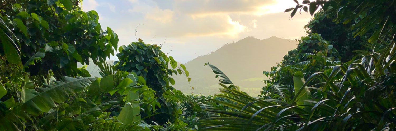 megsteves's profile banner image