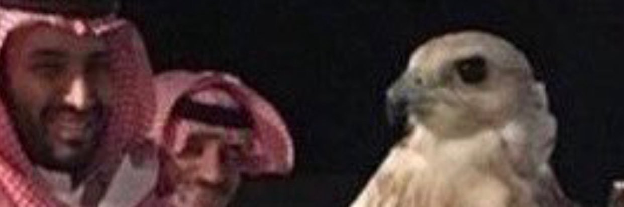 Ana5zf's profile banner image