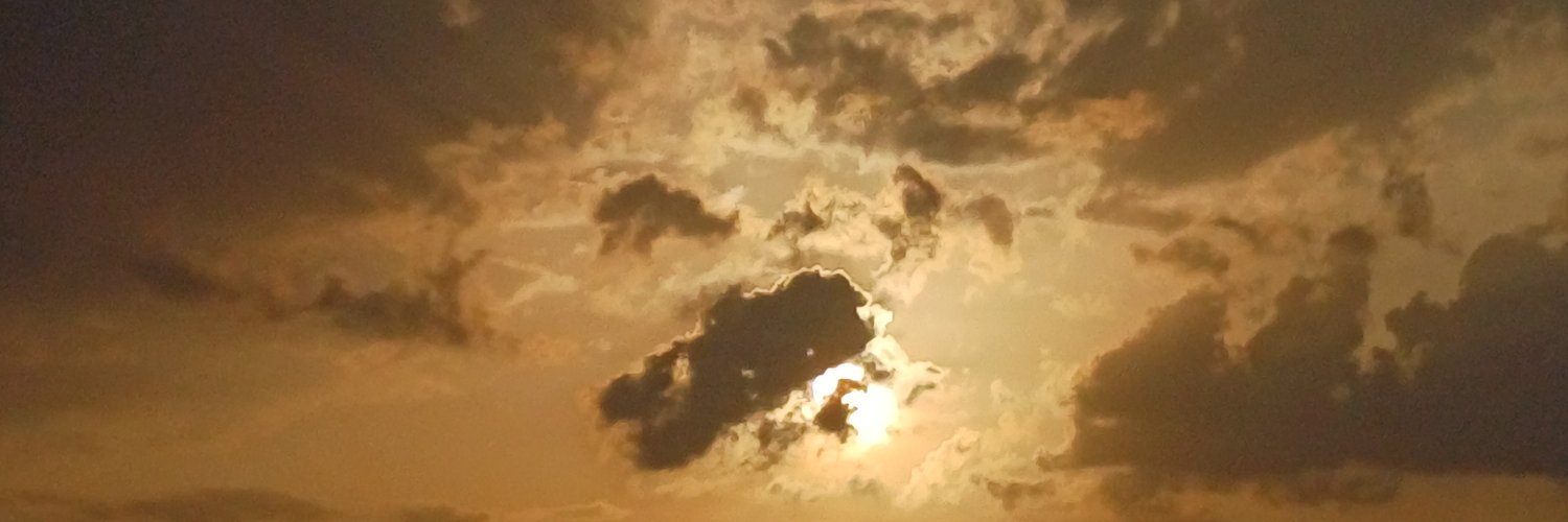 Ducktan_Dd's profile banner image