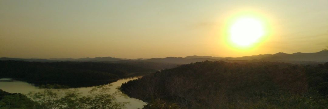 Francisco Grotta Neto banner