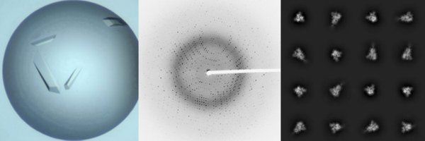 LabWrapp Profile Banner