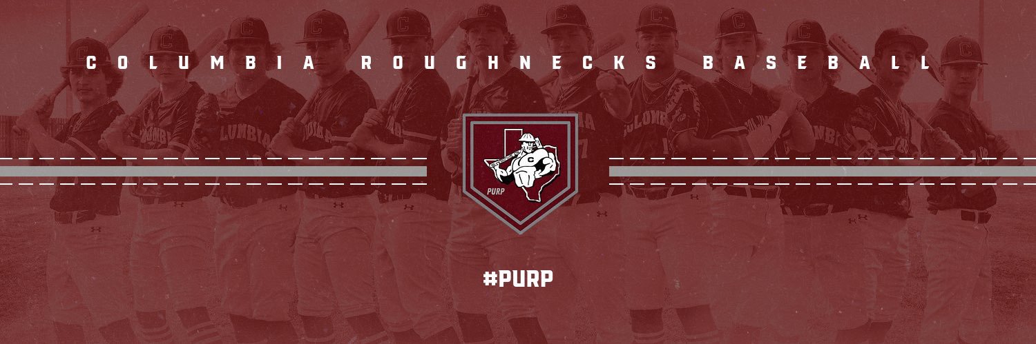 Roughneck Baseball banner