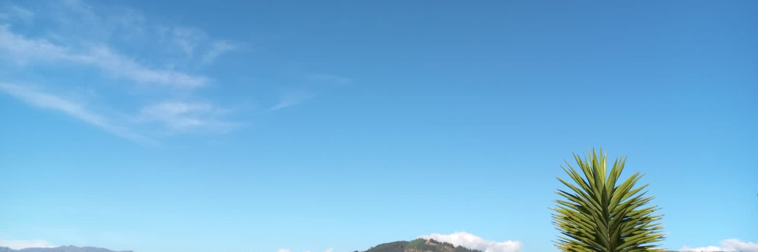 NicoRodriguezPe's profile banner image