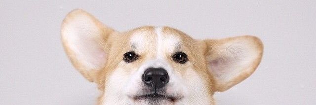 nikiftet's profile banner image