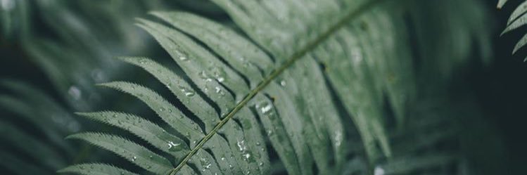 bailey_szabla's profile banner image
