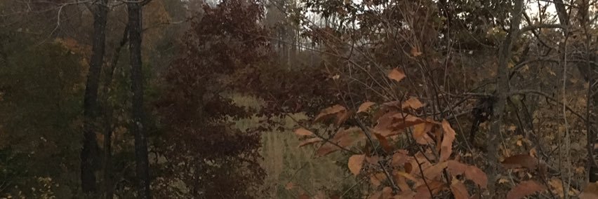 SamcressSam's profile banner image