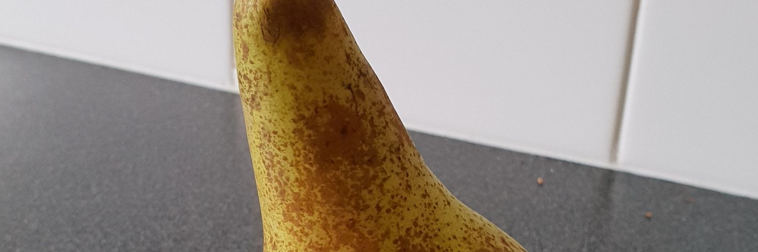 dog__dirt's profile banner image