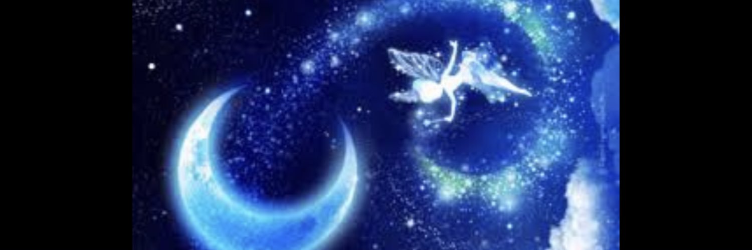 ティンカ🧚時々武者ティン🐙Tinkerbell banner