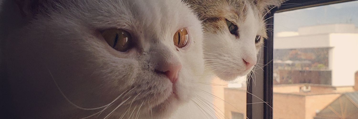 cpatinof's profile banner image
