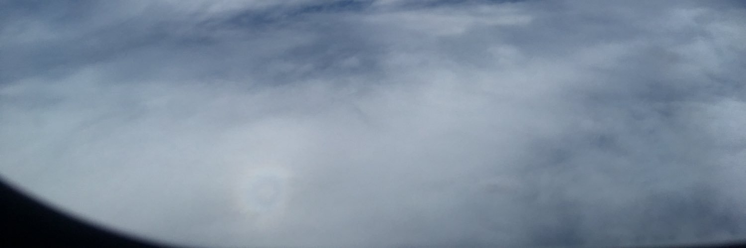 nvasari's profile banner image