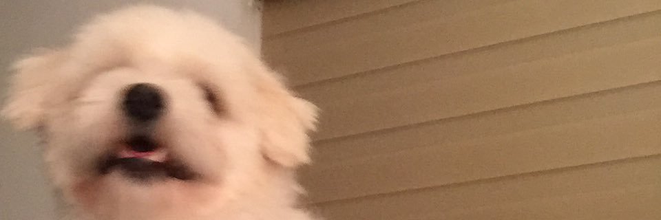 xaviss xe banner