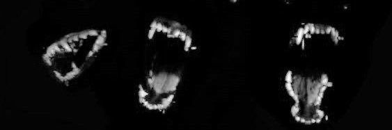 t̸haivuu close banner