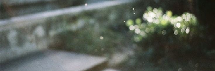 ᥫ᭡ banner
