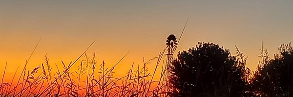 Tere78612710 Profile Banner