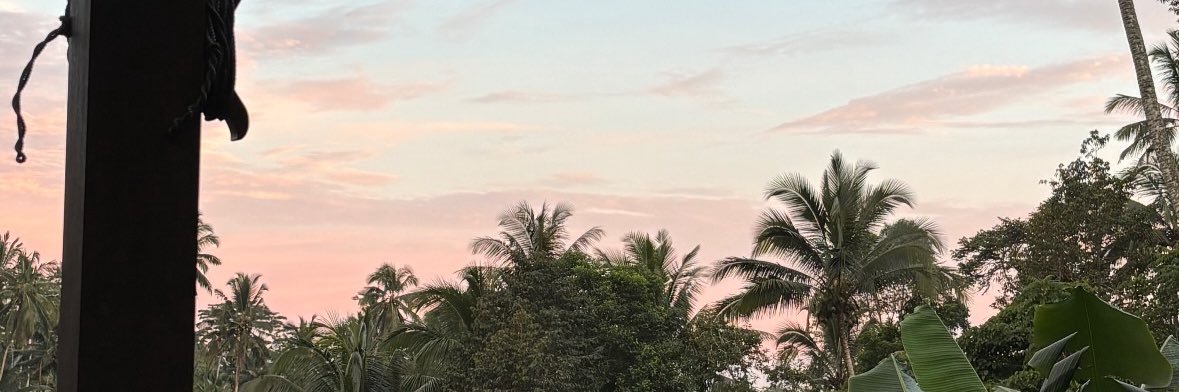 🤓 banner