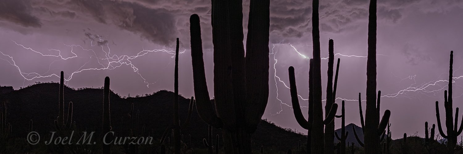 Joel M. Curzon's banner