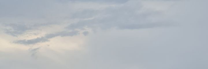 همون پاتس banner