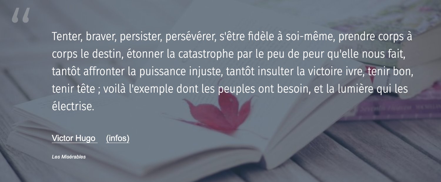 Louise de Lannoy banner