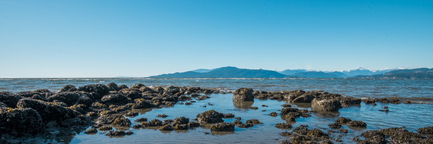 Amber Moore (she/her) banner