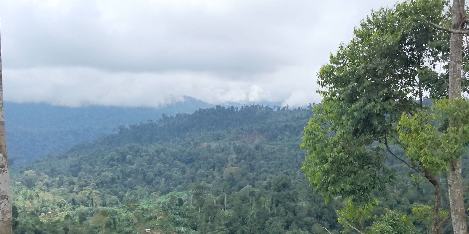 rismanidar's profile banner image
