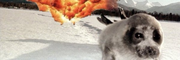 meowri Profile Banner