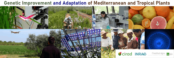 AgapInstitut Profile Banner