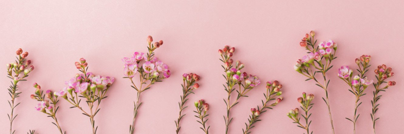 __lilibug's profile banner image
