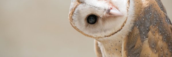 MikulaStepan Profile Banner