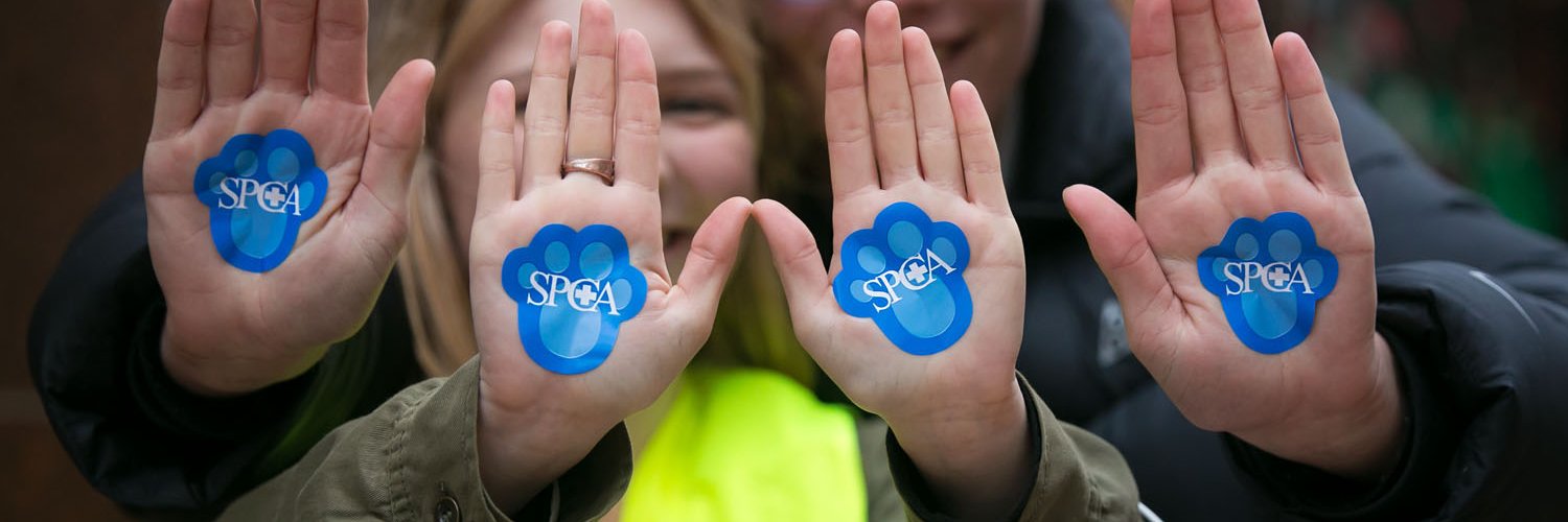 SPCAWgtn's profile banner image