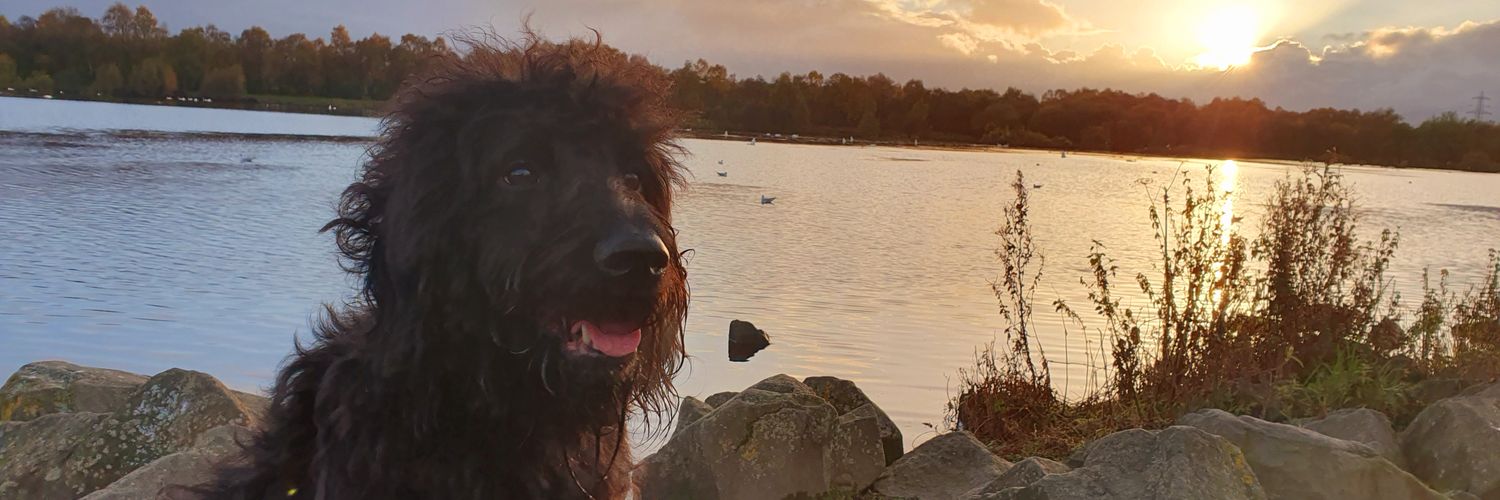 Craig Cain Hain 🏴󠁧󠁢󠁳󠁣󠁴󠁿🎮🎧 banner