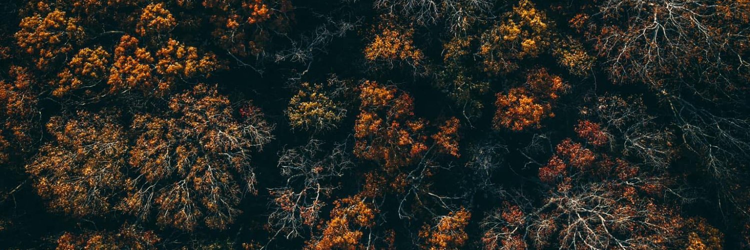 immarcusgram's profile banner image