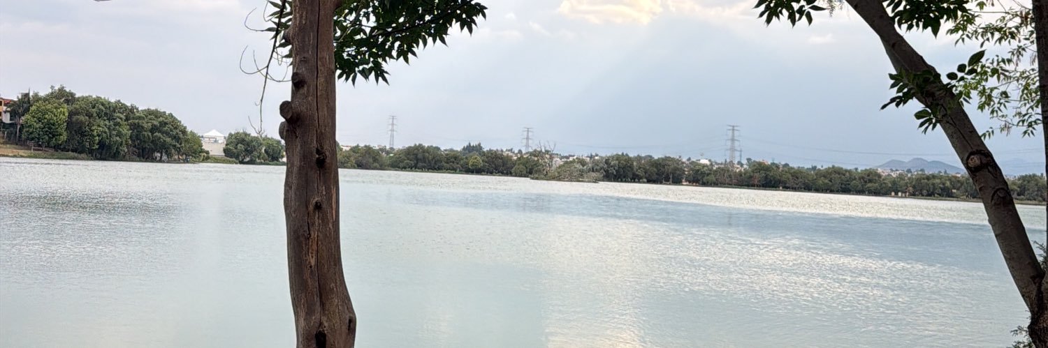 pidemeunacoca's profile banner image