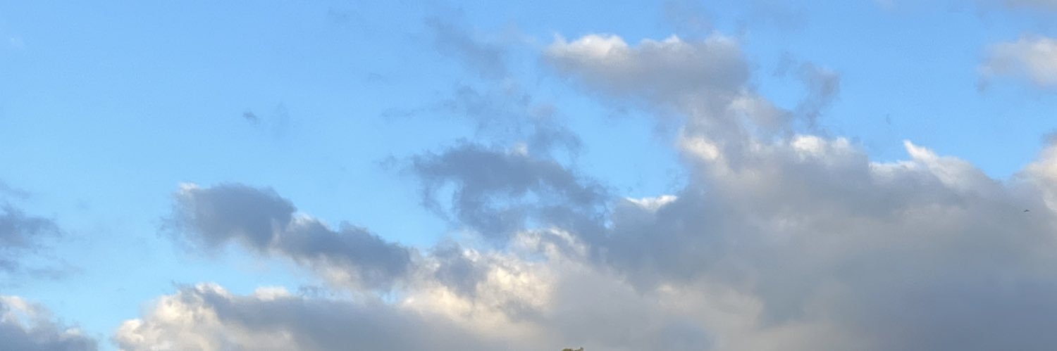 SiguiTapia's profile banner image